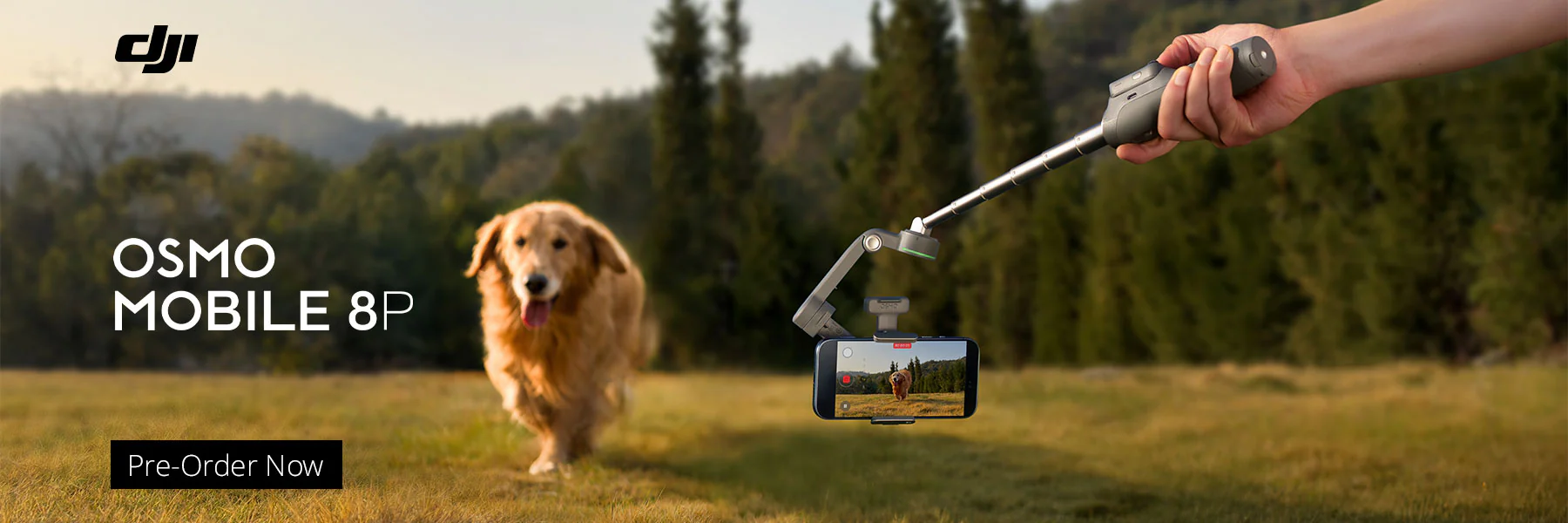 Capture Your Vision with Experts